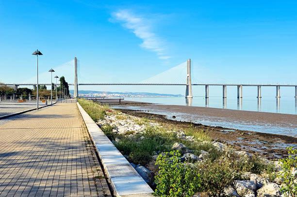 Apartamento Vasco De Gama : Your Stylish Near Vasco De Gama